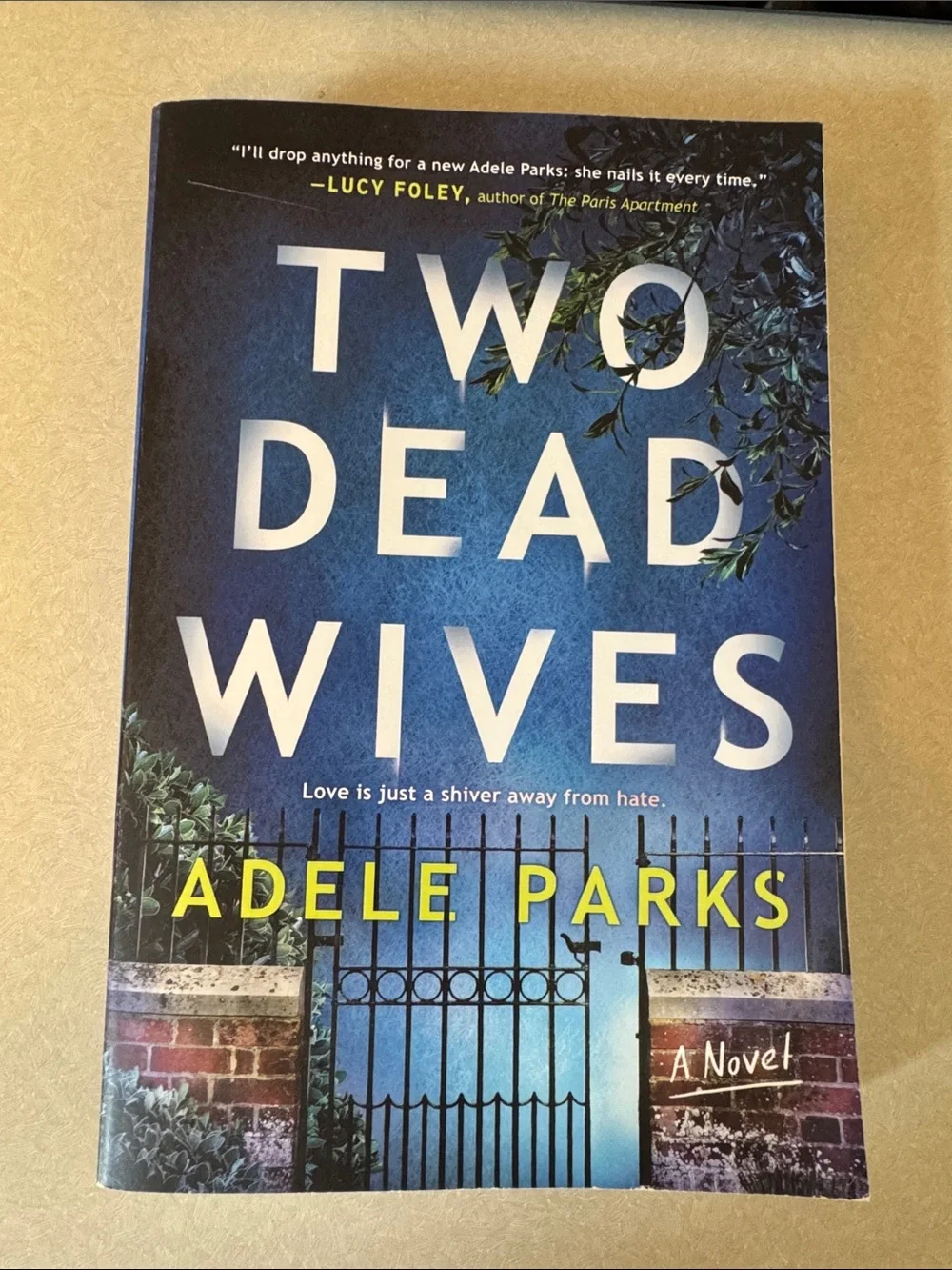 Two Dead Wives by Adele Parks - Blue Cover